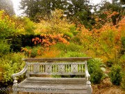 Bench in Fall