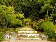 Digging Dog Gardens photo