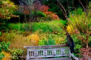 Digging Dog Gardens photo