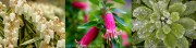 Staff's Favorite Plant & Garden Vignettes Photo