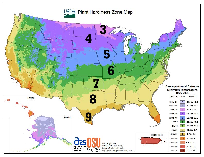 USDA Hardiness Zone Map